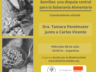 Conversatorio virtual | Semillas: una disputa central para la soberanía alimentaria