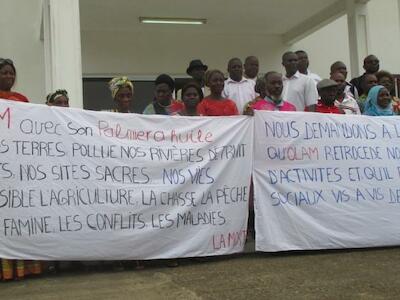 ¡Ayude a detener el avance de los monocultivos de palma aceitera en Gabón!
