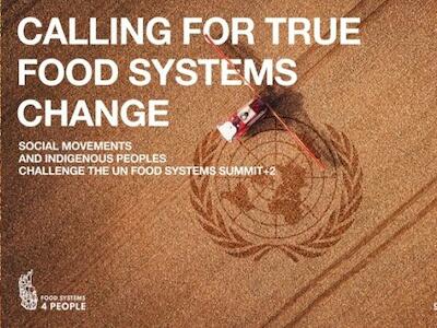 Movimientos sociales y Pueblos Indígenas se oponen a la Cumbre sobre Sistemas Alimentarios de la ONU y piden un verdadero cambio de los sistemas al...