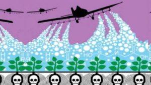 Unión de Científicos Comprometidos con la Sociedad y la Naturaleza de América Latina (UCCSNAL) demanda una prohibición global al glifosato Unión de Científicos Comprometidos con la Sociedad y la Naturaleza de América Latina (UCCSNAL) demanda una prohibición global al glifosato
