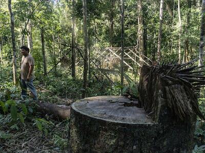 94% das terras indígenas da Amazônia sofreram pressões externas entre 2016 e 2020