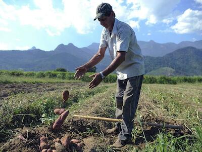 A morte programada do Trabalhador Rural por Bolsonaro: ponto a ponto