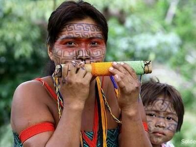 A Sebraelização do Indigenismo na Amazônia Ocidental como estratégia para a mercantilização e a financeirização