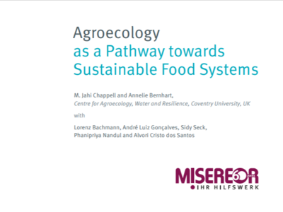 Agroecología: rumbo hacia sistemas alimentarios sostenibles 