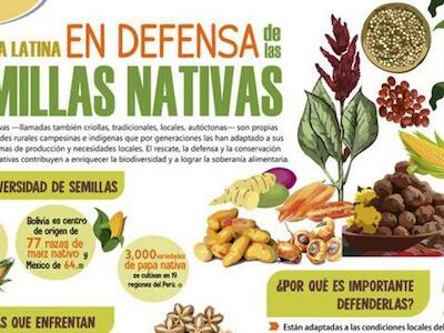 América Latina: En defensa de las semillas nativas
