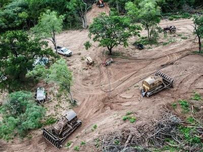 Arrasar para cultivar: una radiografía de la deforestación en Argentina