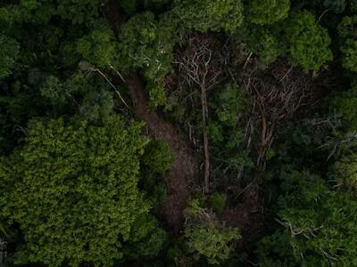 Assassinatos, desmatamento e roubo de terras: um laboratório do crime no meio da Amazônia