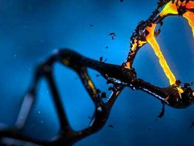 Biología sintética, edición del genoma e impulsores genéticos