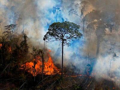 Carta da Amazônia: destruímos o que não entendemos