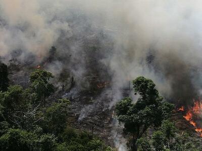 Causas, razones y responsables de los incendios en Amazonas