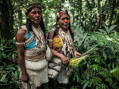 - Mujeres Waorani cantan en la selva, su territorio ancestral en la región de Pastaza, en la Amazonía ecuatoriana. Foto tomada de Amazon Frontlines.