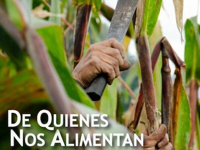 De quienes nos alimentan: la pandemia y los derechos campesinos en Ecuador