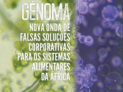 Edição de genoma  - nova onda de falsas soluções corporativas para os sistemas alimentares da áfrica
