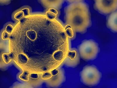 El relato oficial del coronavirus oculta una crisis sistémica
