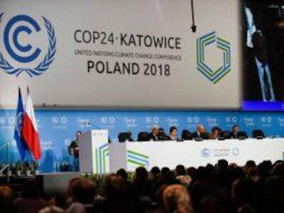 Grupo Carta De Belém torna público sua posição frente a COP 24