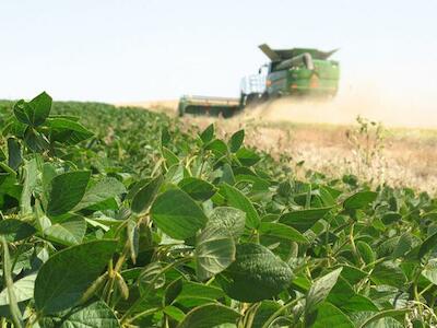 La agricultura mundial, en la cuerda floja de los fertilizantes químicos
