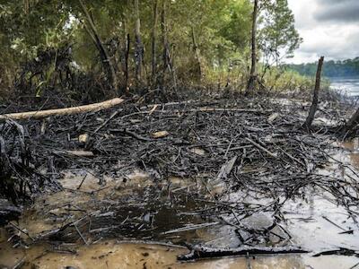 - Contaminación por derrame de petróleo a orillas del río Coca, Amazonía, 10 de abril de 2020. Foto: Telmo Ibarburu.