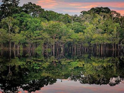 La Amazonia: ni salvaje, ni pulmón, ni granero del mundo