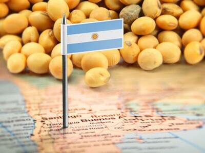¿La Argentina produce alimentos para 400 millones de personas?