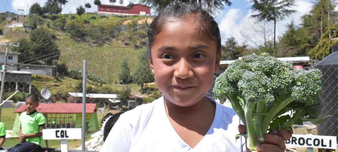 La Obesidad Se Triplica En Am Rica Latina Por Un Mayor Consumo De Ultraprocesados Y Comida