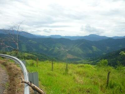 Manifiesto ecológico por una justicia ambiental para la sierra de La Macarena
