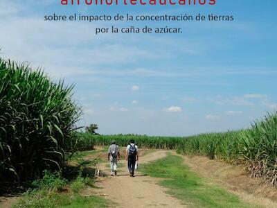 Mirada de los jóvenes afronortecaucanos sobre el impacto de la concentración de tierras por la caña de azúcar