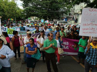Movimientos sociales en Honduras defienden sus semillas campesinas e indígenas