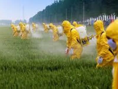 ¿Negocios a expensas de la salud? Uso de pesticidas en la "república de la soja" de las multinacionales agrícolas 