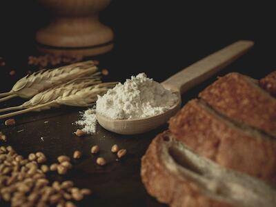 O pão nosso de cada dia ameaça gerações futuras: os efeitos de agrotóxicos e do trigo transgênico
