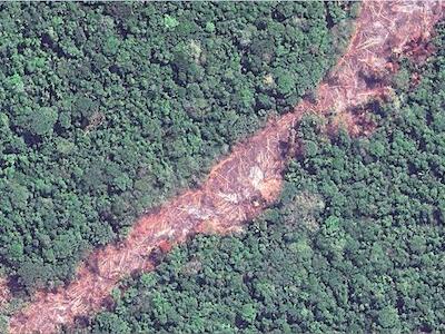 Pablo Catatumbo: “La deforestación del Amazonas, una bomba de tiempo ante un gobierno indolente”