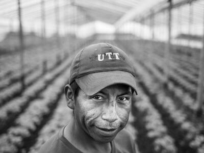 Rebelión verde: la UTT, de La Plata a la verdulería