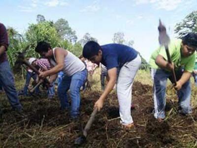 Sembrando comunidad y cosechando aprendizajes. Huertos comunitarios en Xalapa, Veracruz
