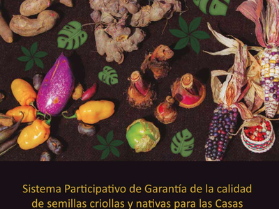 Sistema Participativo de Garantía de la calidad de semillas criollas y nativas para las Casas Comunitarias de Semillas en Colombia. Guía metodológica