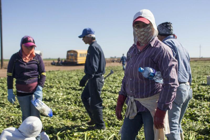 Tratados De Libre Comercio C Mo Salir De La Sumisi N Corporativa Biodiversidad En Am Rica Latina