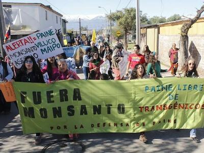 Un año de Monsanto y Bayer en Chile: Inversiones contaminantes 