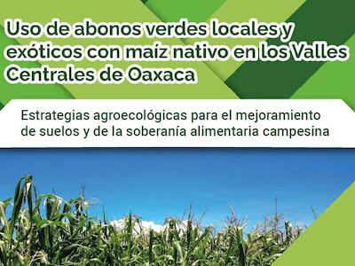 Uso de abonos verdes locales y exóticos con maíz nativo en los Valles Centrales de Oaxaca
