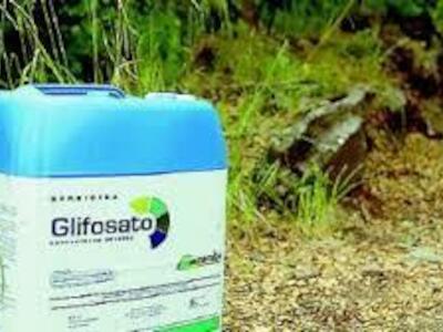 Experta confirma las afectaciones del herbicida glifosato en la salud de las personas