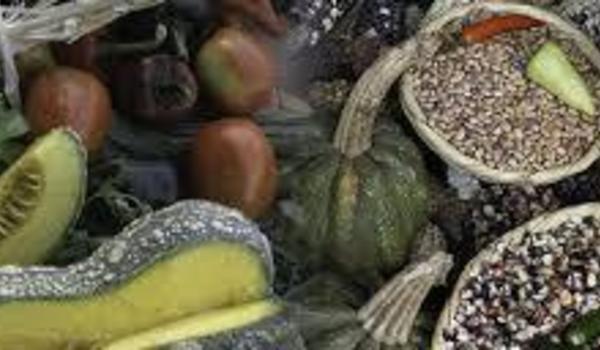 Urge un cambio de sistema para enfrentar grave crisis de la Biodiversidad