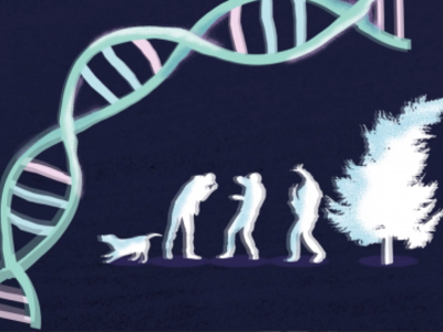 Impulsores genéticos: incontrolables y destructivos