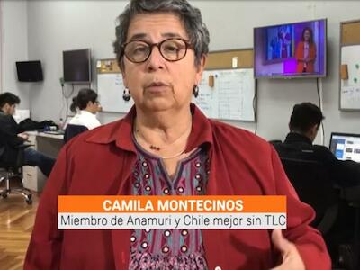 Miradas: Camila Montecinos de Chile mejor sin TLC comenta las razones por las que solicitan al Senado rechazar el TPP 11