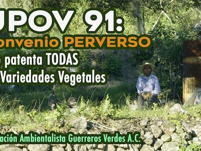 UPOV 91  convenio perverso que patenta todas las variedad vegetales 
