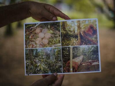 Foto: Amigos de la Tierra Brasil, de la serie "¿Qué pasa realmente en la Amazonía?