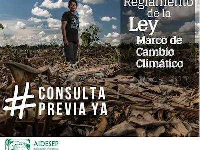 ¡Triunfo indígena!: Reglamento de Ley Climática irá a consulta previa
