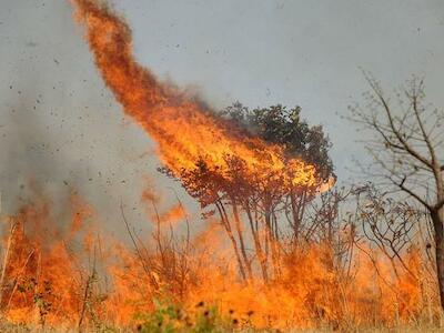 Agroecologia é contraponto às queimadas na produção agrícola