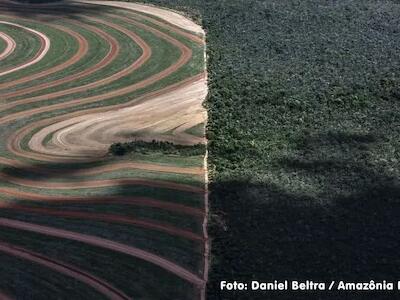 Amazônia próxima do ponto de inflexão ecológica catastrófica