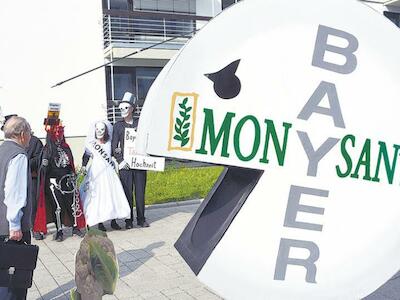 Ambiente tóxico para Monsanto-Bayer