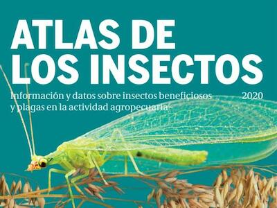 Atlas de los insectos