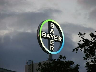 Bayer construye en Chile la mayor fábrica de semillas de América Latina