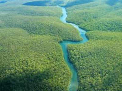 Brasil: De uma só vez, Rondônia acaba com mais de meio milhão de hectares de áreas protegidas