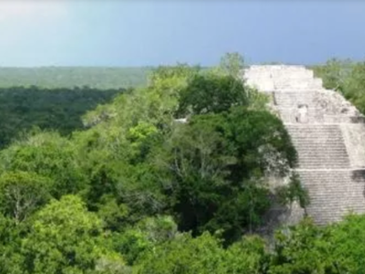 Científicos expresan “No rotundo” a que el Tren Maya toque la selva de Calakmul